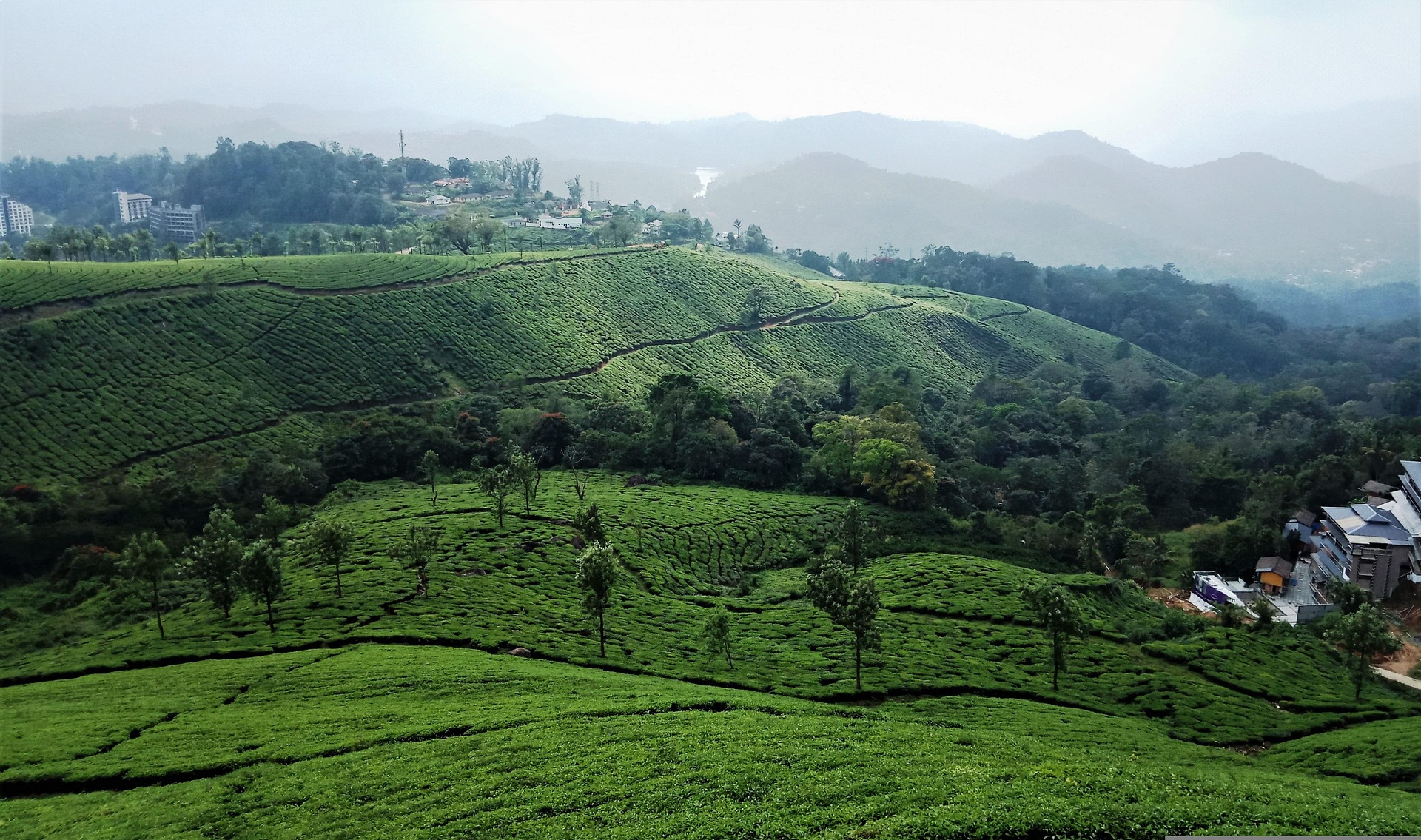 Discover the Beauty of Ooty with Us